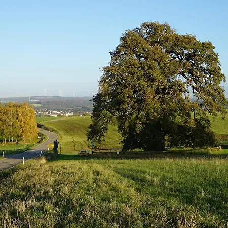 Am Alten Holzweg * Endlichhofen